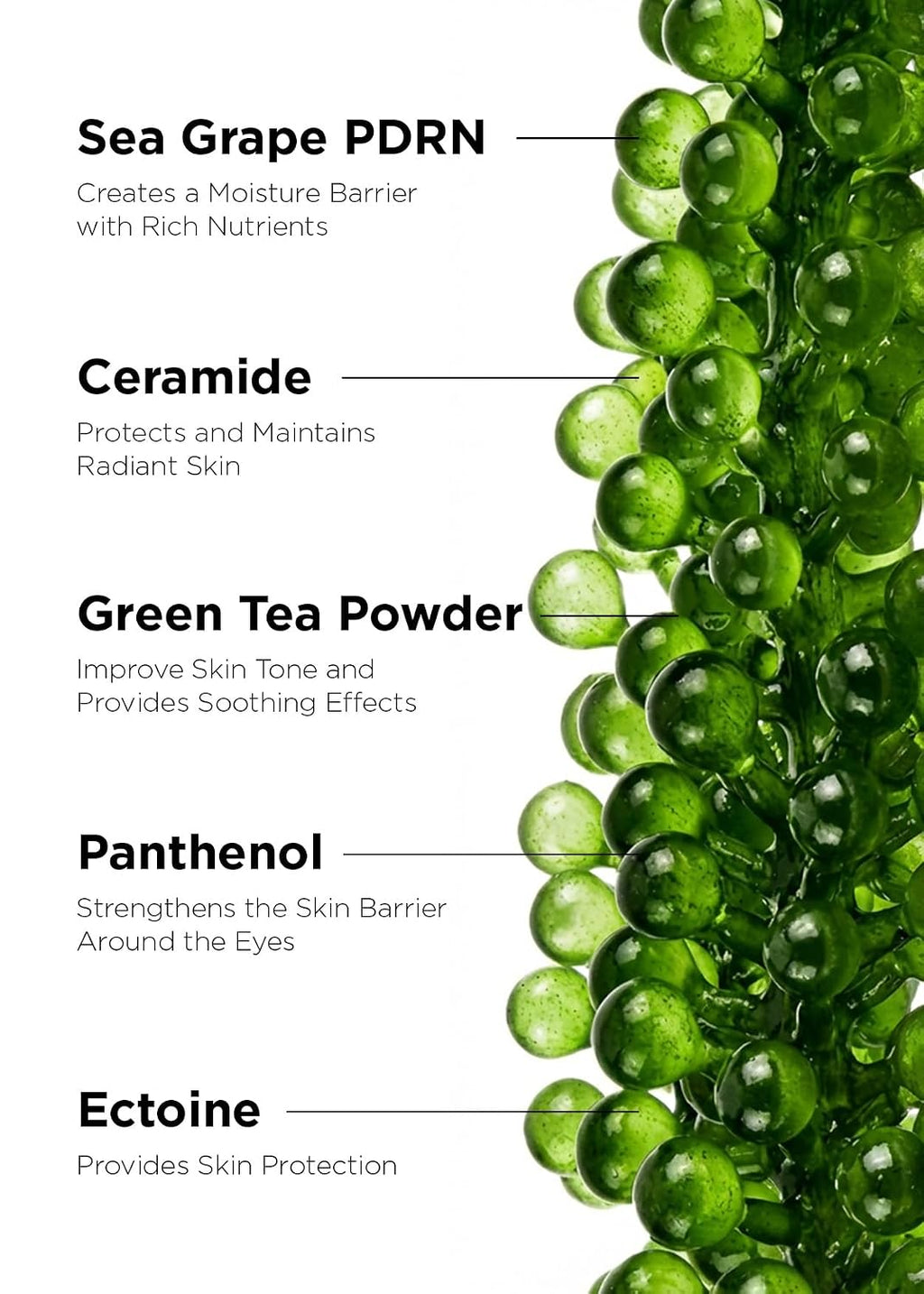 Bewants Sea Grape Vegan PDRN Eye Patches for Sensitive Skin | Formulated with Collagen, Green Tea, Ceramides and Pathenol | Hydrating & Firming under Eye Mask